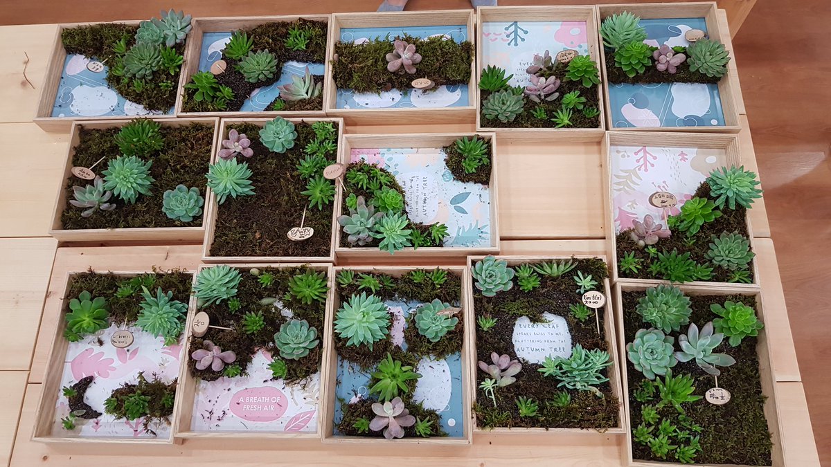 cheerysy's tweet image. 아이들과 원예수업할땐 샘플을 만들어가지 않는다. 샘플은 아이들의 무궁무진한 창의력에 자장애가 되기때문에
참 아이들은 작품의 생각은 넓고 다양하다
수업내내 재미있어 나도 즐겁다.
#원예수업 #다육아트