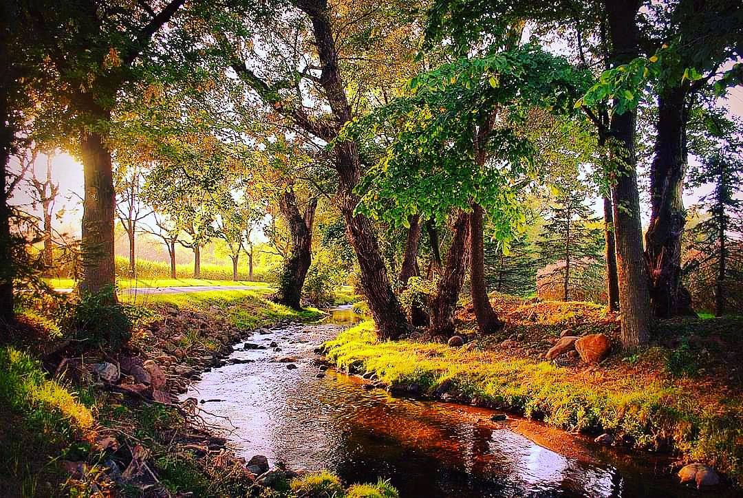Coplay Creek site of Delaware People habitation for one thousand years.