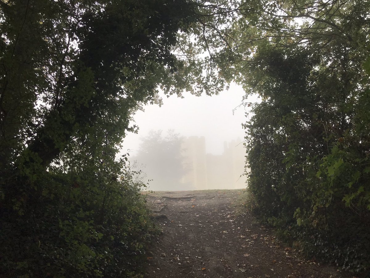 This mornings fog soon lifted - such an atmospheric walk ✨

#framlingham #suffolk