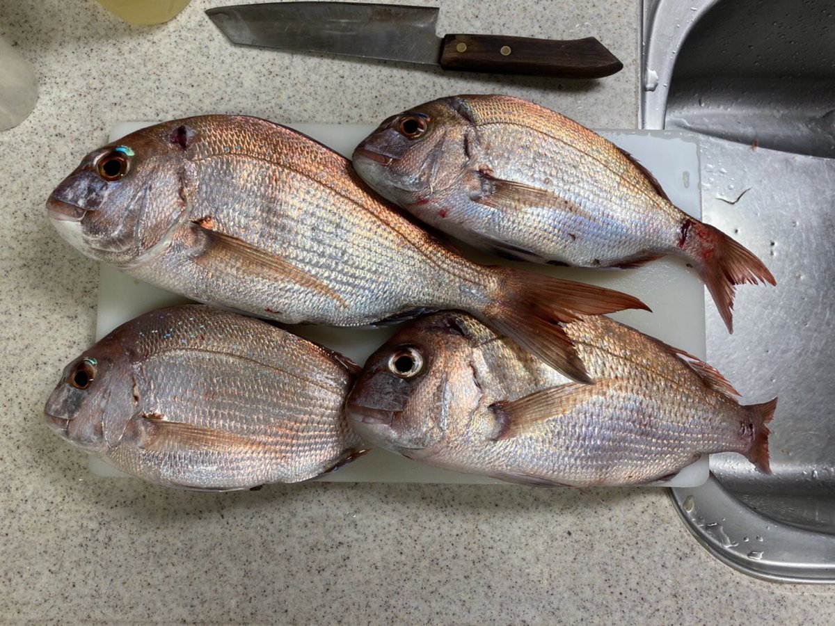 しょんきち 釣り垢 Tak Twitter