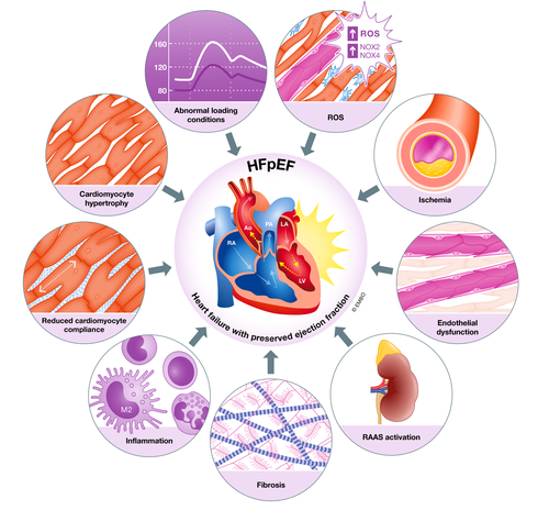 EMBO Mol. Medicine tweet media