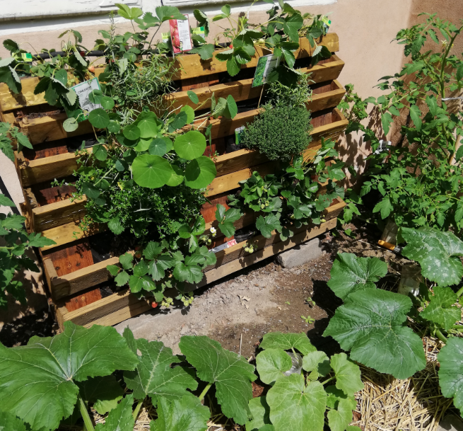 francedk's tweet photo. 🌿🇪🇺European Sustainable Development Week. At the embassy we use every inch of our inner yard to promote and raise awareness on sustainable development 😀🌱 #ESDW2020 We are part of #greenembassies network #ambassadeverte #sustainabledevelopment https://t.co/TtQiHwcz8r