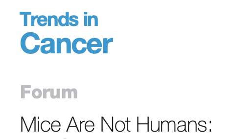 Christian Bates tweet media