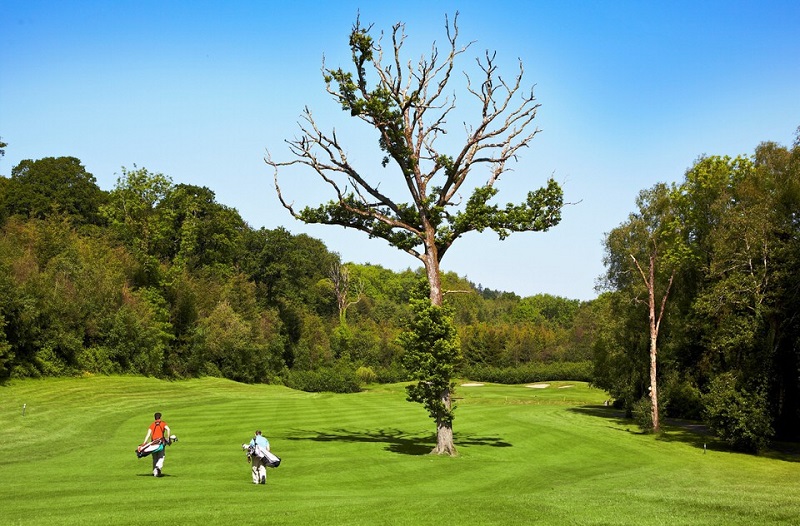 The TopGolfer Tour tweet media