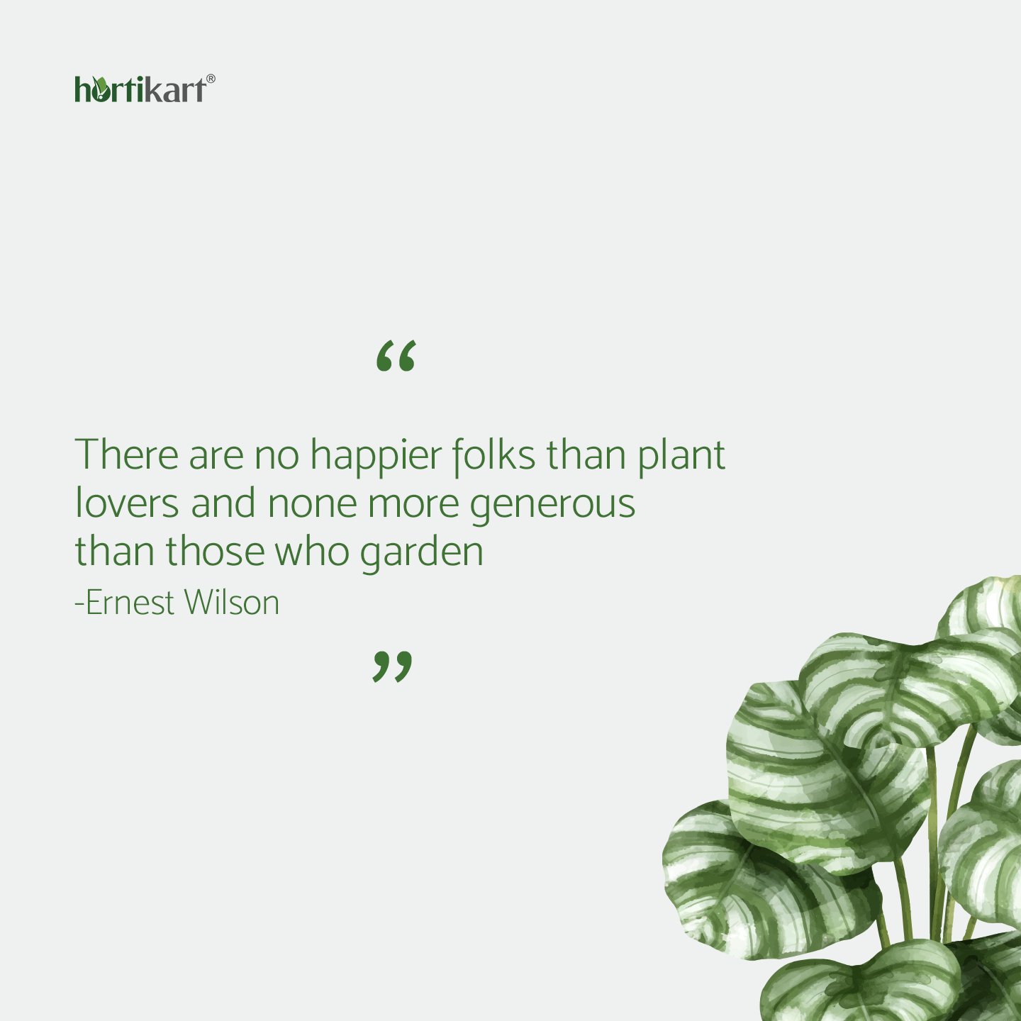Quotes For Plant Lovers Hortikart En Twitter: "Are You A Plant Lover? Then You Can Relate Pretty  Much. • #Plantlover #Plantquotes #Plants #Quotes #Naturequotes #Hortikart  Https://T.co/Vfvs7Ydrte" / Twitter
