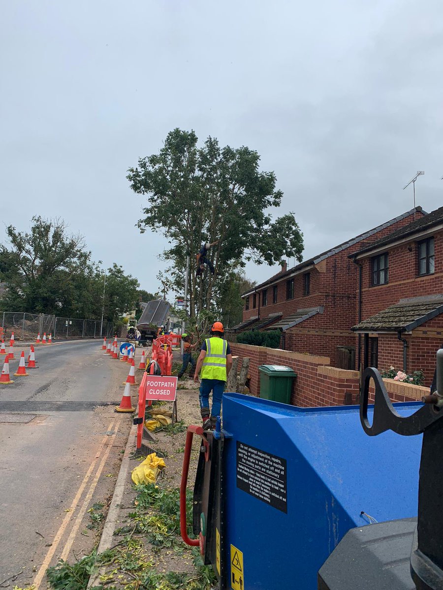 teigntrees's tweet photo. Check out these photos sent in by Phil H of works completed over the last few weeks. If you have any tree work you need help with jus give us a call on 01626 773499 to book a FREE no obligation quote with one of our managers. #teigntrees #mondaymotivation #arborists #ashdieback https://t.co/9zZrWDZpW3