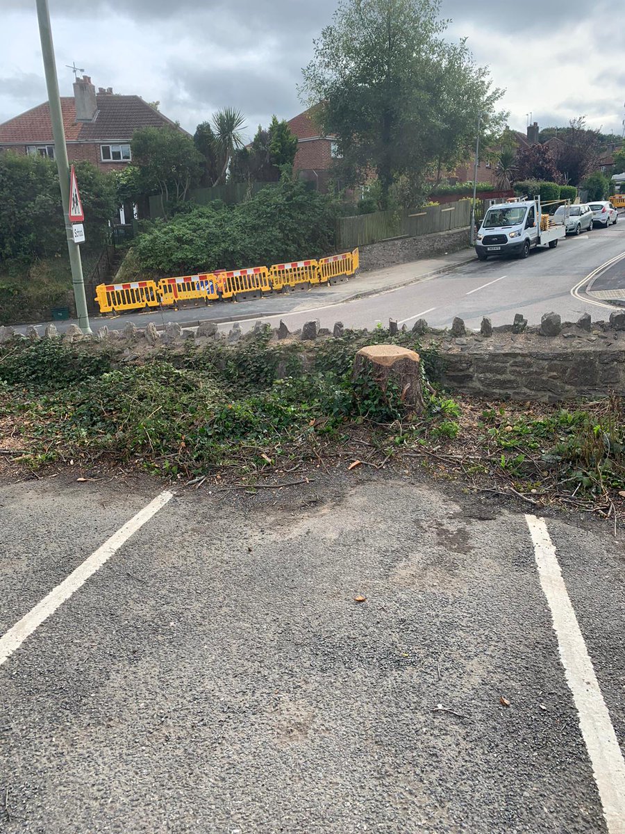 teigntrees's tweet photo. Check out these photos sent in by Phil H of works completed over the last few weeks. If you have any tree work you need help with jus give us a call on 01626 773499 to book a FREE no obligation quote with one of our managers. #teigntrees #mondaymotivation #arborists #ashdieback https://t.co/9zZrWDZpW3