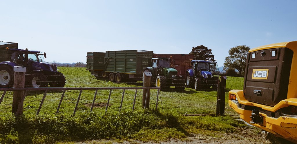 corina_ryan_'s tweet photo. #maize ✅☀️ https://t.co/RYaTampceJ