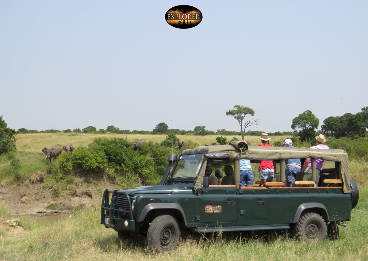 MaraIntrepids's tweet photo. Take a trip off the beaten track; you could experience sights like this π. #JourneywithHeritageKenya #Mara #MasaiMara #Bush #ExploreMEX #Travel #leisure #gamedrive @HeritageKenya https://t.co/4GcEwzMNfT