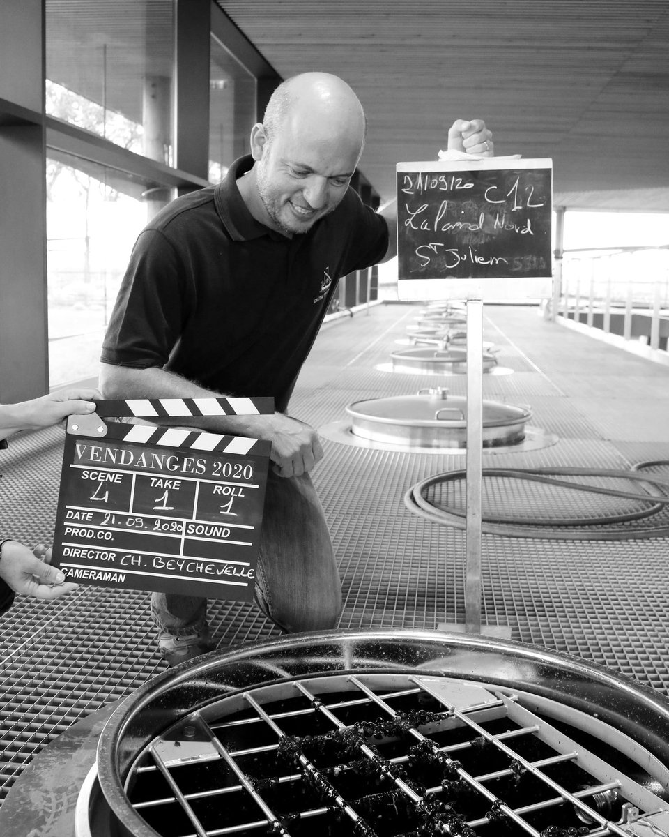 Deuxième semaine de vendanges avec toujours des merlots!
Harvest week 2 : still picking Merlots!
