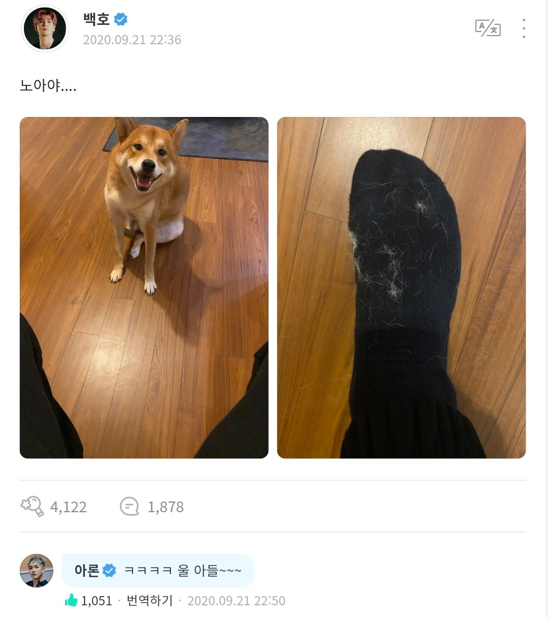 EicY9LUWoAA0H2G?format=jpg&name=orig