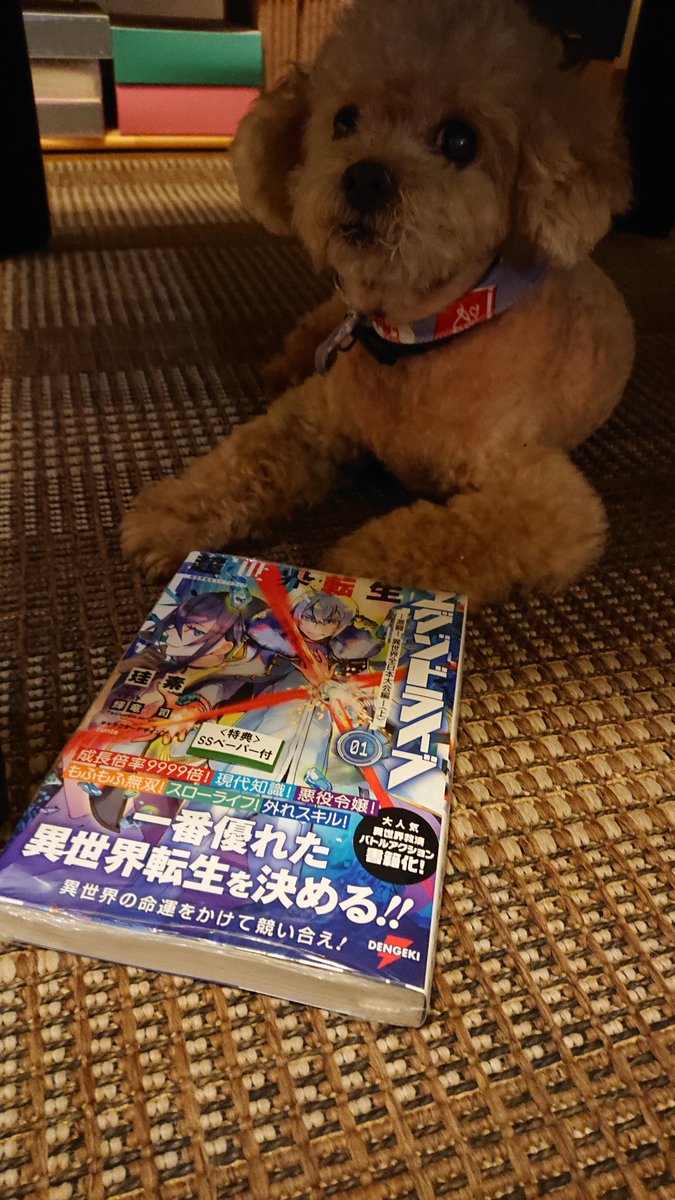 超世界転生エグゾドライブ物理書籍版発売前後のまとめ 18ページ目 Togetter