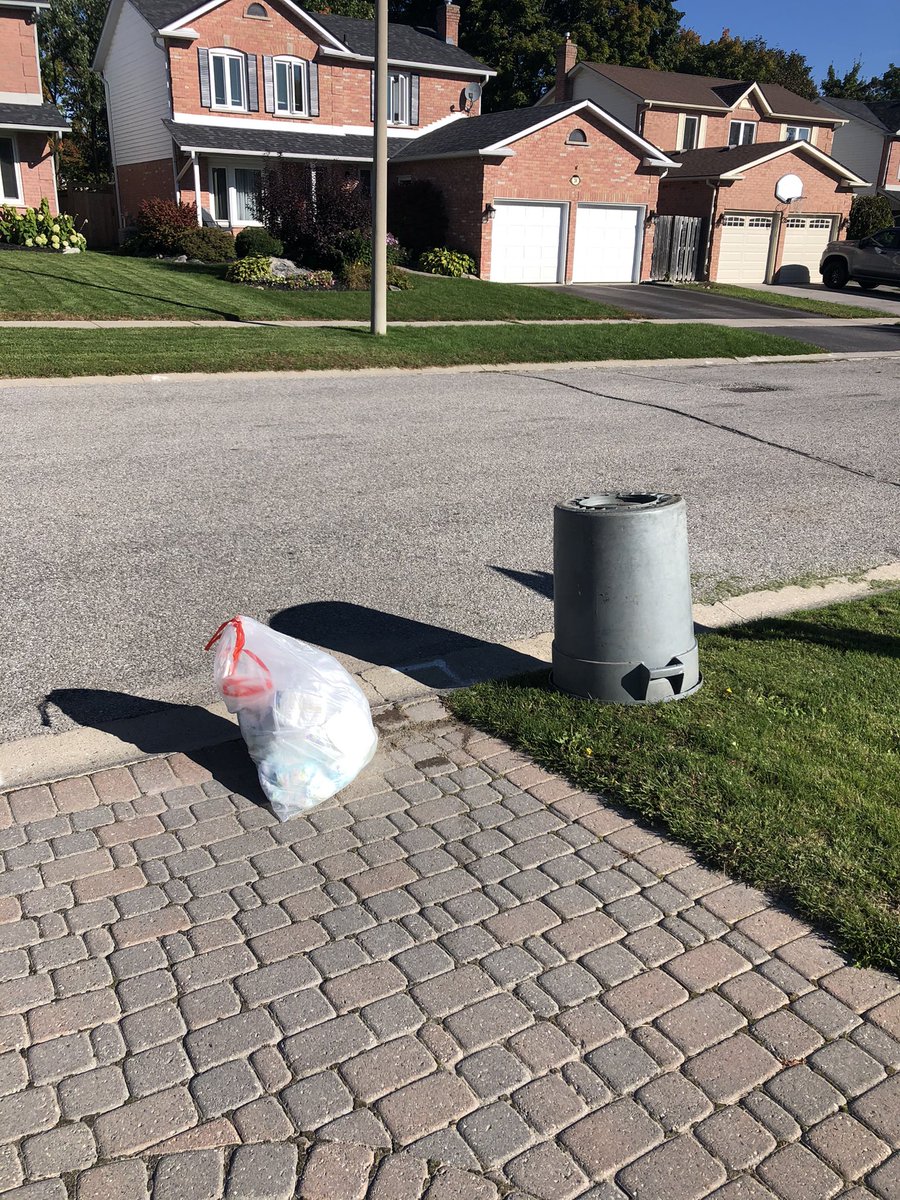 Avery Pottle tweet media