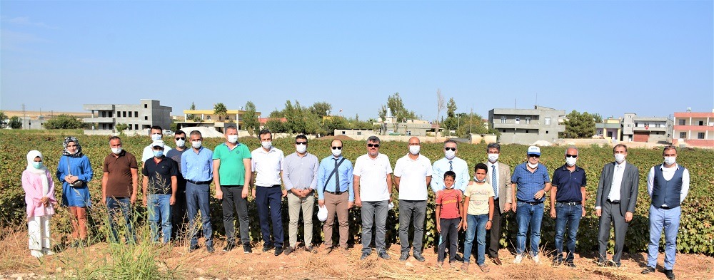 GAP İdaresi Başkanlığınca desteklenen, Boğaziçi ve Harran Üniversiteleri tarafından yürütülen “Pamuğun Dijital Serüveni” projesi kapsamında yapılan çalışmalar yerinde incelendi.

Detaylar👉 bit.ly/32OTwM3