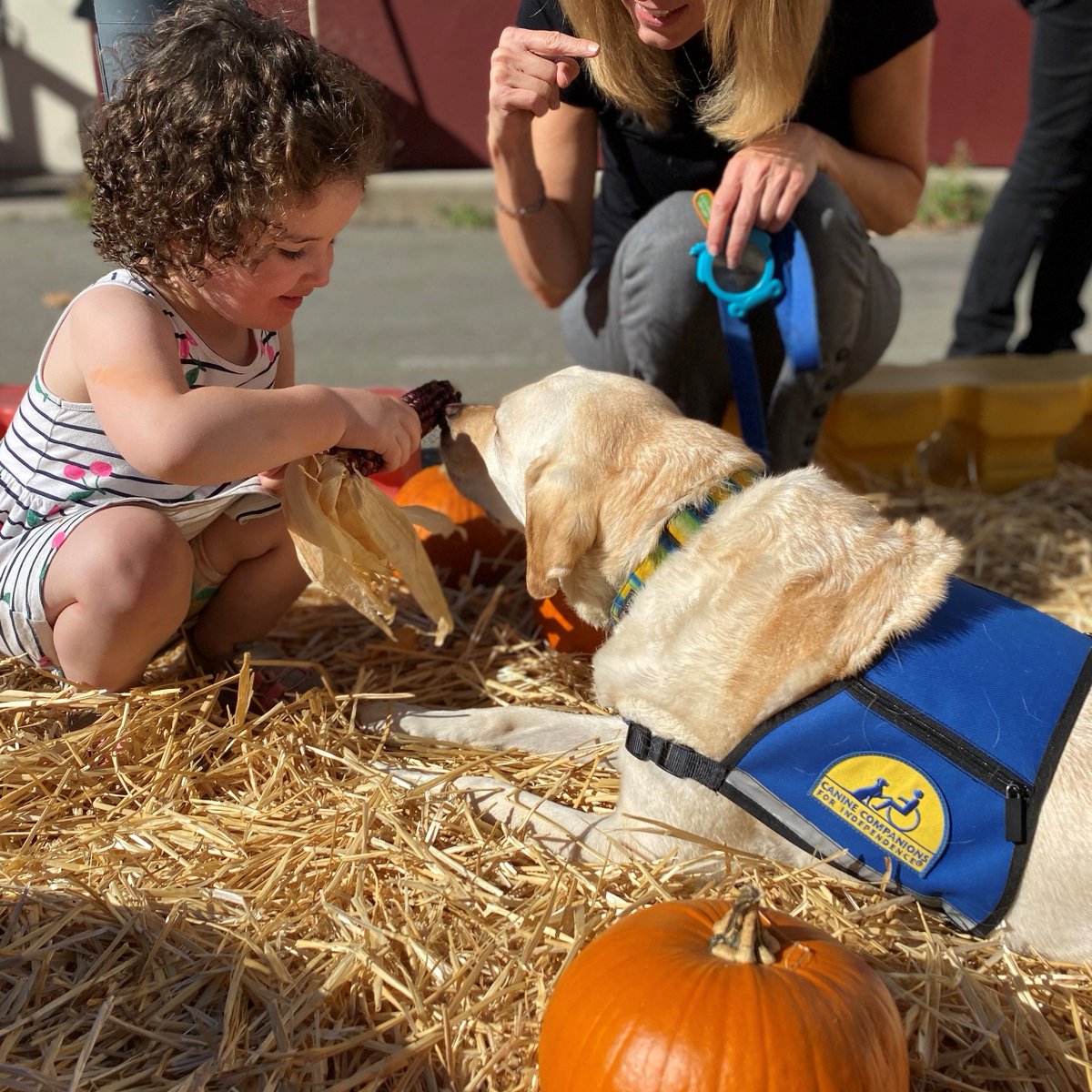 Did you know September is National Service Dog Month? In 2012, CEID applied to <a href="/ccicanine/">Canine Companions®</a> for a Facility Dog to work with the children at CEID, and our lives were changed by Nan's friendliness, love, and acceptance. Tell us why you are a Nan Fan! #NationalServiceDogMonth #Nan