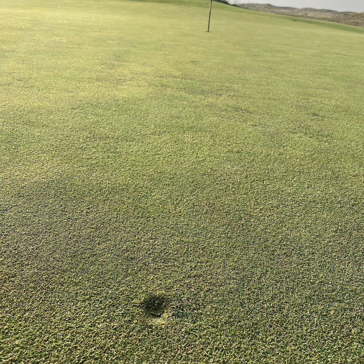 It’s time for another grassroots golf effort. I hereby pledge to fix two ball marks on every green I play until I die or there are no more to fix, whichever comes first. If you’re with me, Retweet, spread the word and add #Fix2Promise to your profile and posts. We can do this.