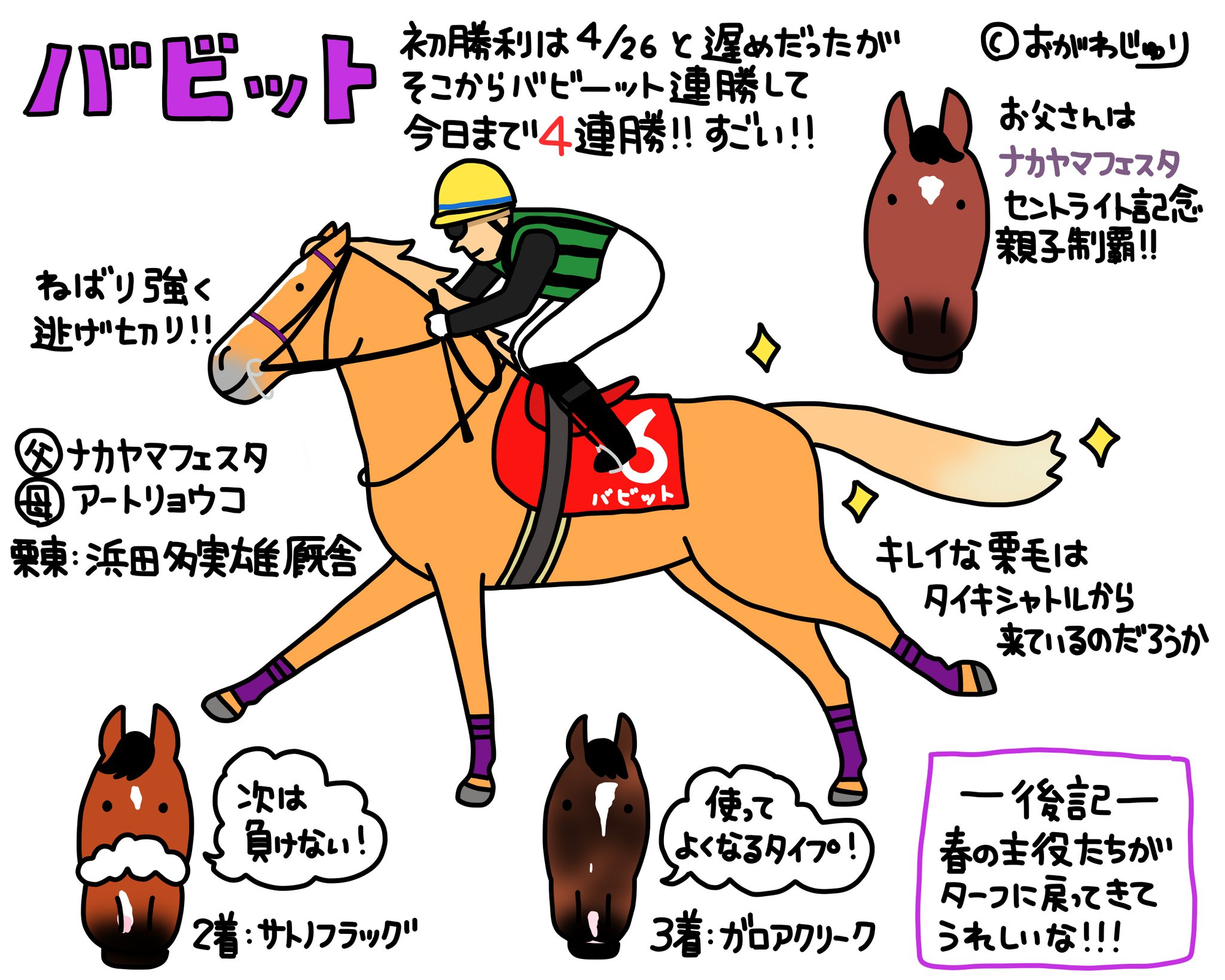 セール品 おがわじゅり オルフェーヴル 【値下げ】おがわじゅりさん