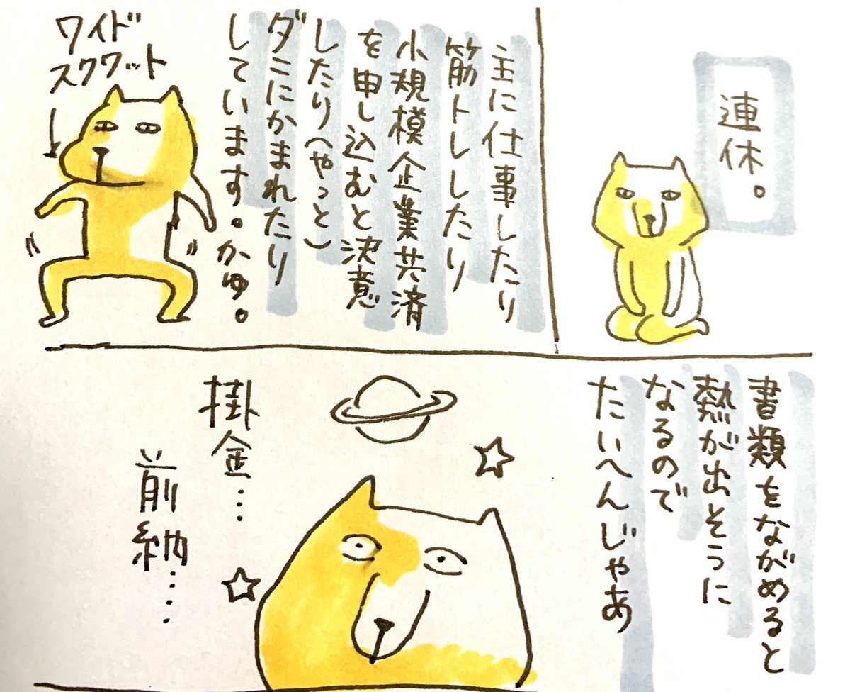 あと仕事用の椅子も新調しました、もう胡座はやめるぞ…癖になっている… 