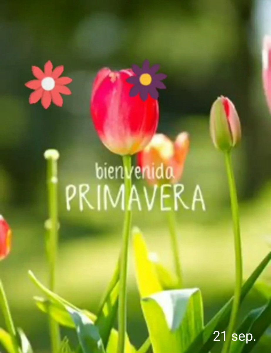 Mpat75132001's tweet photo. @LicTraviata Feliz dia !!! 🤗⚘rubia!
#PlanPrimavera !!!
Es mortal😂🙃😂⚘
Buena semana a Todos😘🤗😘🌷 https://t.co/V7OFqNRp53