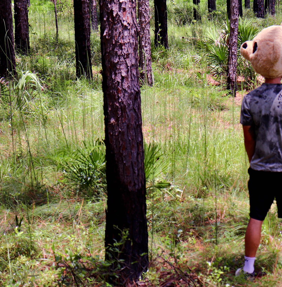 meltalicmike's tweet photo. If a bear shreds in the woods and no one hears it, does it make a sound? https://t.co/wEi557WDK5