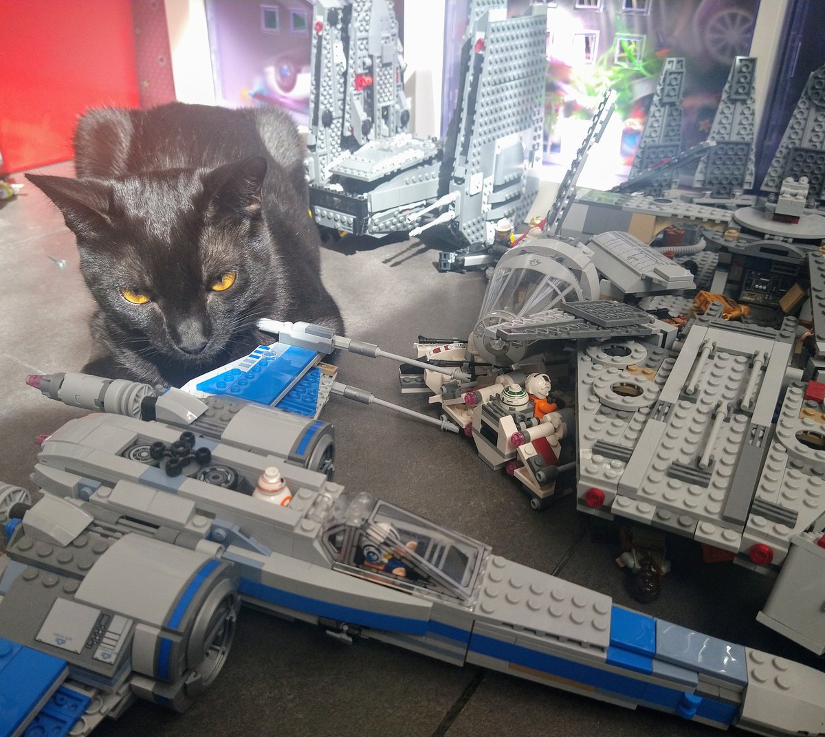 Carol291076's tweet photo. El imperio contra el Gato #DarthCat #LegoStarWars #LegoCat https://t.co/gJsjzyFiCK