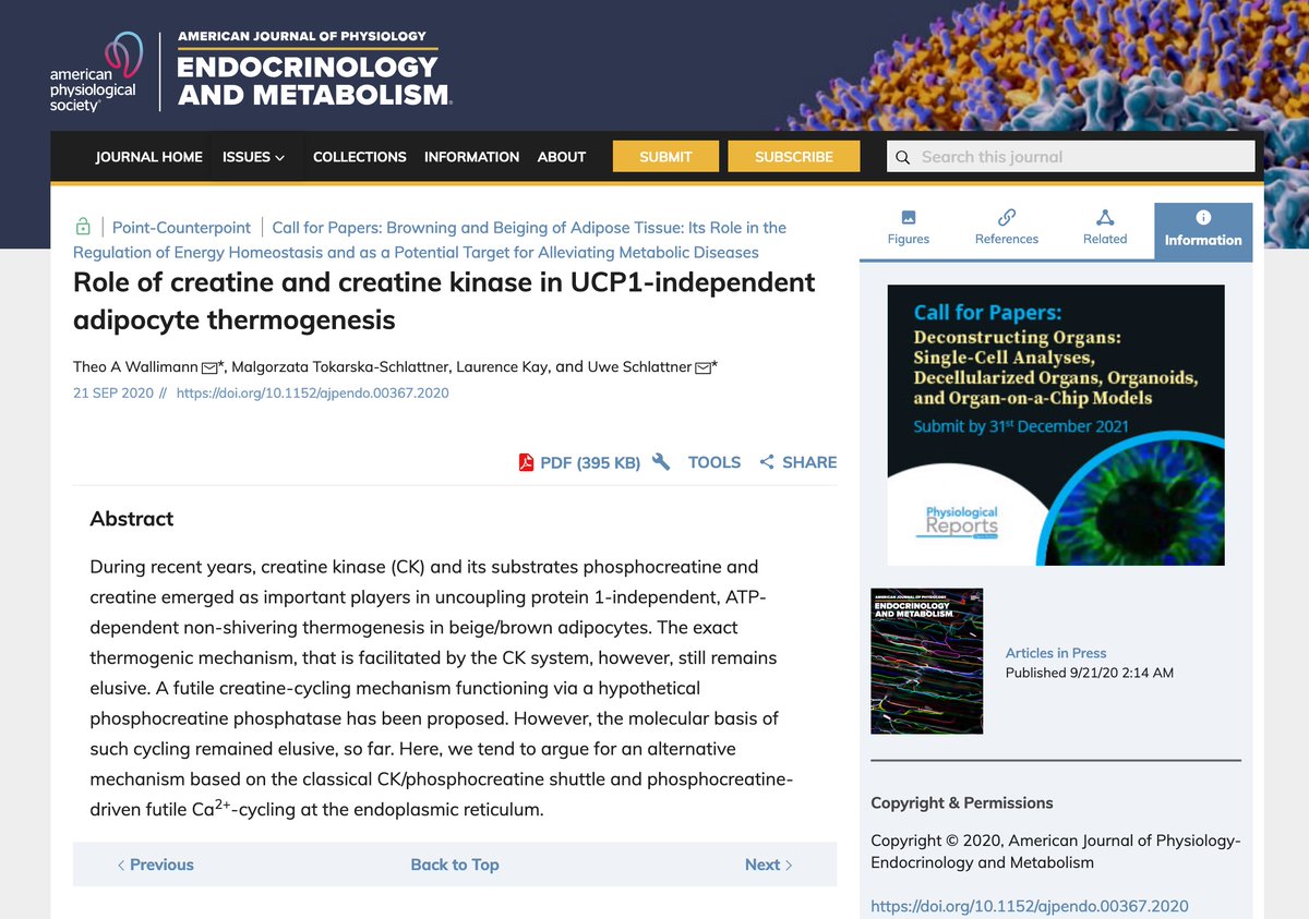 AJPEndoMetab's tweet photo. In press: our new Point-Counterpoint article type with the first on the "Role of creatine and creatine kinase in UCP1-independent adipocyte thermogenesis" to read here: https://t.co/gNpo39bDNS… And see the Counterpoint here: https://t.co/XL0rrBD1yg… #creatine #creatinekinase https://t.co/D9vGTqTe7E