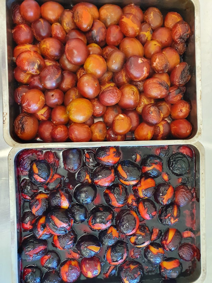 neptunebrewery's tweet image. A combination of delicious fruit in todays #500brew
Thanks to @SprawlKitchen for rescuing the Hagenta and Victoria plums from food waste, and roasting them.