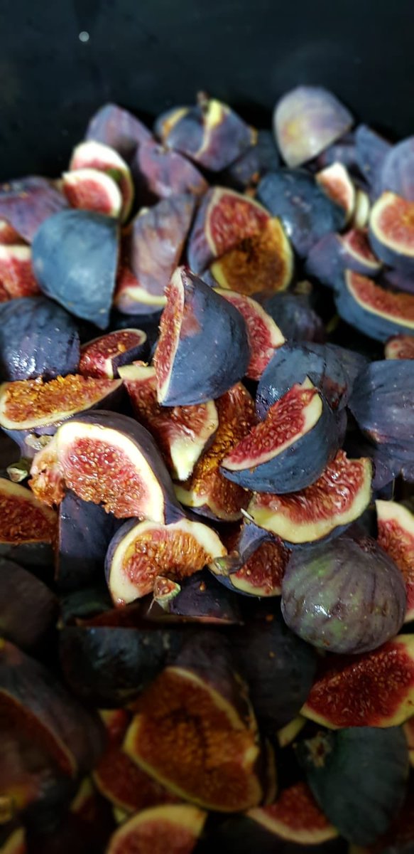 neptunebrewery's tweet image. A combination of delicious fruit in todays #500brew
Thanks to @SprawlKitchen for rescuing the Hagenta and Victoria plums from food waste, and roasting them.