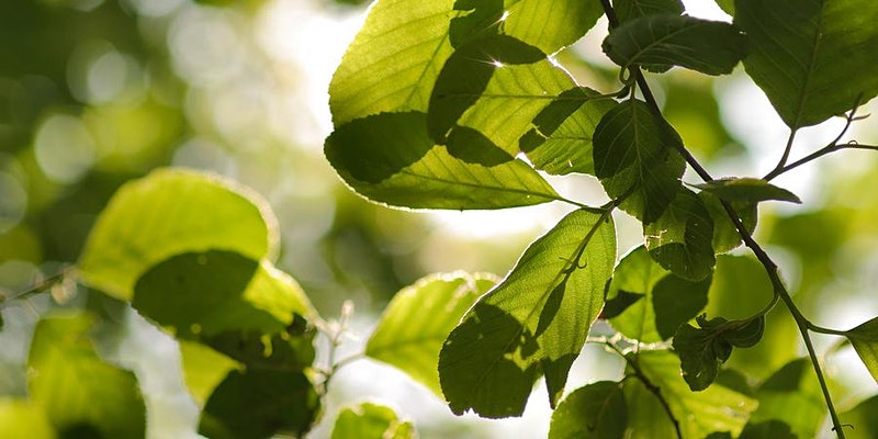 Are you ready to feel calmer, more refreshed, and ready for a more productive and satisfying afternoon? I’ll be accompanied by <a href="/jakeytoor/">Jakey Toor</a> in presenting our 15-minute guided #mindfulness practices starting Monday, October 5th. Register today:  eventbrite.com/e/119677892799