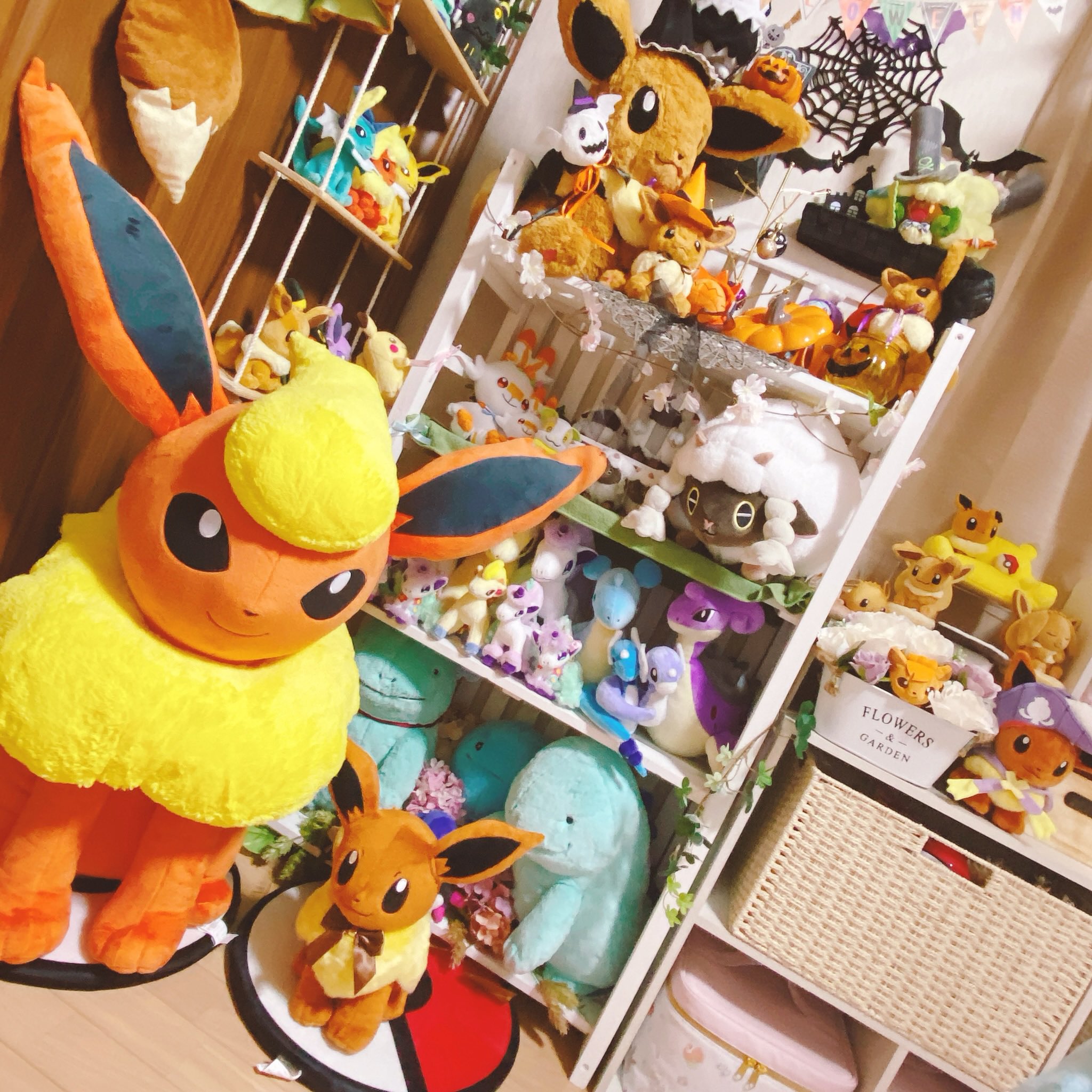 リア ꪔ ポケモン部屋の住人 コレクション更新その1 ポケモン部屋 イーブイ ポケモンぬいぐるみ みんなの部屋のポケモン事情教えてよ ポケモン好きと繋がりたい ポケモンと生活 リツイート歓迎 T Co Un0mg6oh70 Twitter