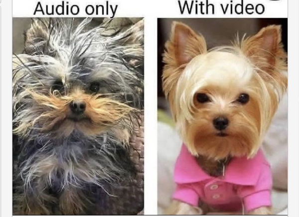 LowellAaronC's tweet image. Hilarious!
So -- making a video (usually) requires making one&apos;s appearance nice?!

#Zoom #VisualAppearance