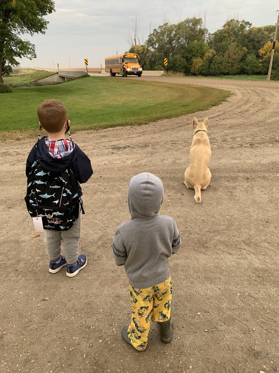 Maier Farms tweet media