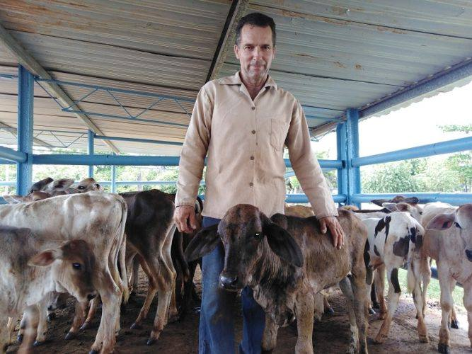 Pudiera parecer algo insólito insertar en el reino de las minindustrias de frutales, cercano al poblado de Ceballos, en #CiegodeAvila, una mini-planta para producir quesos y otros derivados de la leche. Lea más en radiosurco.icrt.cu/sonadores-se-d… #IDEALxCuba <a href="/CAvilaRadio10/">Emisora Surco</a> <a href="/JosLuisMAlejo/">José Luis M. Alejo</a>