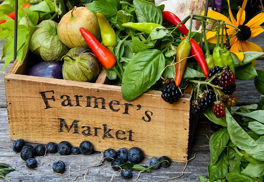 staytripper's tweet photo. FARMER'S MARKETS 🥕🍅🌽🚜

Find out more about your local markets here: https://t.co/36q0Armu0p https://t.co/MwS9rz5Y0U