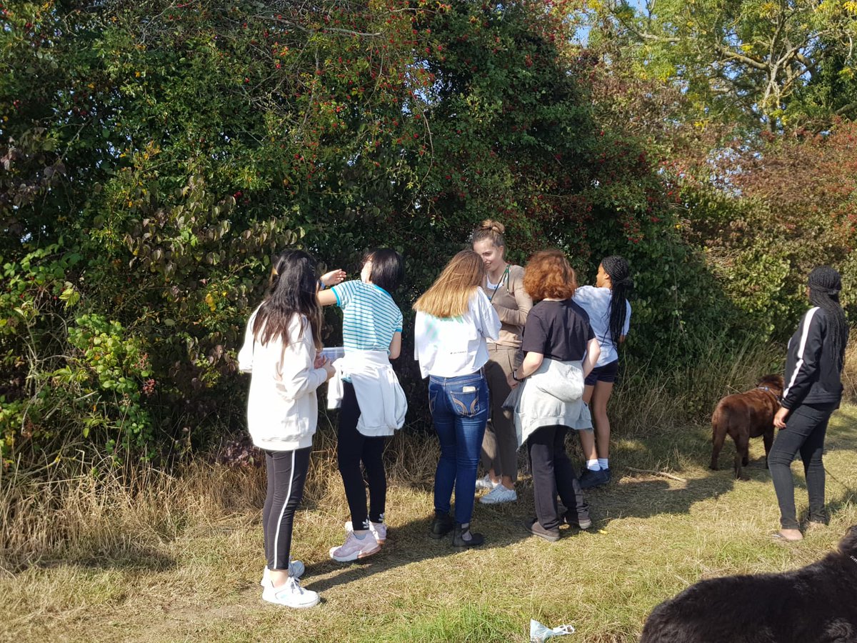 FramMoreau's tweet photo. Blackberry picking in the sunshine on Sunday morning. ☀️ Some furry friends joined them too. 🐕 https://t.co/QmRF1Avd6v