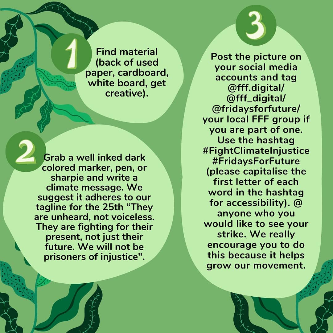 Fridays For Future tweet media