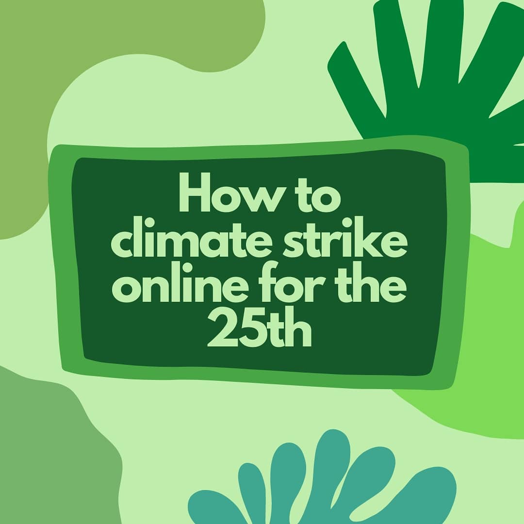 Fridays For Future tweet media