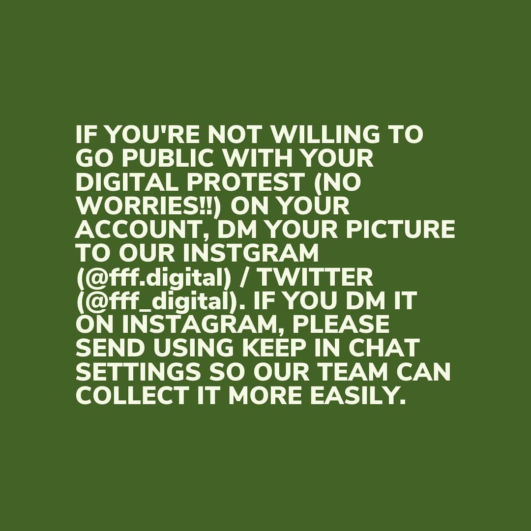 Fridays For Future tweet media