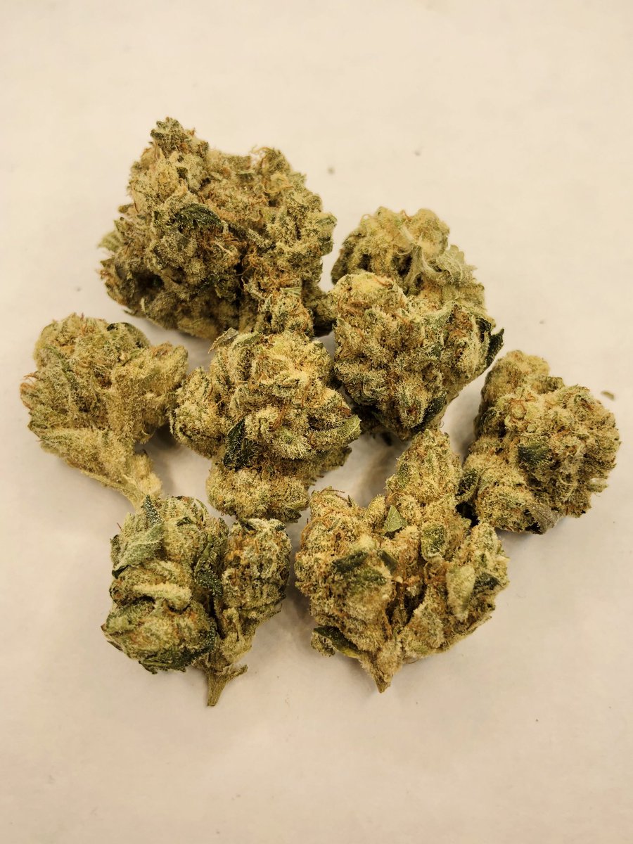cannalukey's tweet photo. Josh D OG from @gagecanada
A generous amount of trichomes makes these buds a pleasure to break up. Their grit can be felt in the tips of your fingers. Not too dry, so the terps are still present. Nicely gone flowers for a summer run. 👍🏼
#Cannabis #Gage #JoshDOG https://t.co/KImkDuskTO
