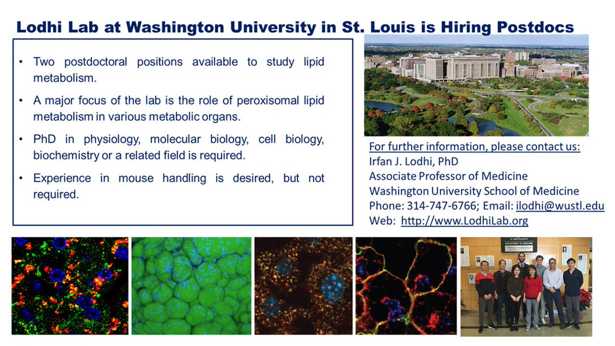 We have #postdoc positions available to study lipid metabolism pathways and their relationship to metabolic diseases, including #diabetes and #obesity. Please visit LodhiLab.org for more info and email me your inquiries and CV.  Please RT!  
#AcademicChatter