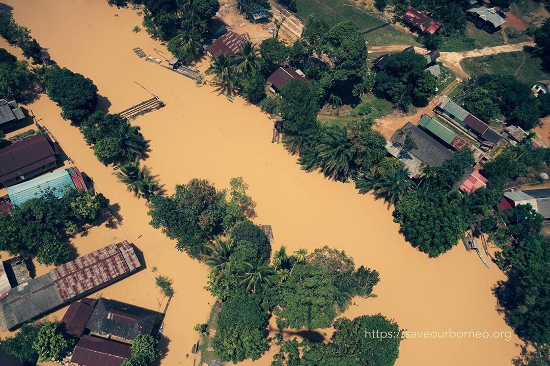 Kalimantan Lo dah hampir 3 Minggu ini banjir bukan karena buang sampah sembarangan tapi
Akibat hutan yang terus menerus ditebangi dan dijadikan perkebunan kelapa sawit #banjir