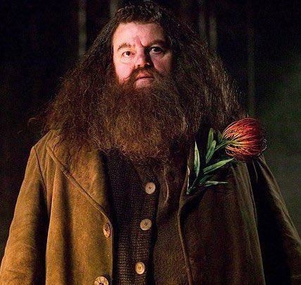 Wonho as Rubeus Hagrid - humble-warm hearted-loyal