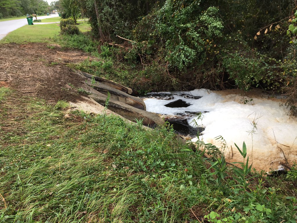 Matthew Deitch tweet media