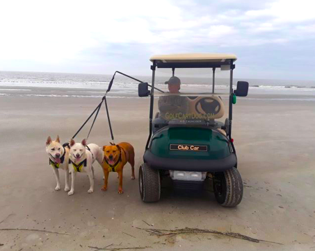 Golf_Cart_Dog's tweet photo. Safety is our first priority! Enjoy a ride in your ATV or golf cart while letting your dogs safely walk alongside you. 😊 Click here to read our safety guidelines and all we do to ensure your pup’s safety: https://t.co/4sL2RJg4fu 🐶 #ReadTheGuidelines #BeSafe #SafetyFirst https://t.co/dMqzCDB8H9