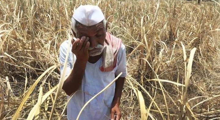 lalitnagarmla's tweet photo. किसान की छाती पर पैर रखकर यह कृषि बिल पास किया गया है! और उसके ऊपर सरकार खुशियां मना रही है!
 समय बलवान है!
 #WeAgainstFarmBills https://t.co/RQzZhxPJed