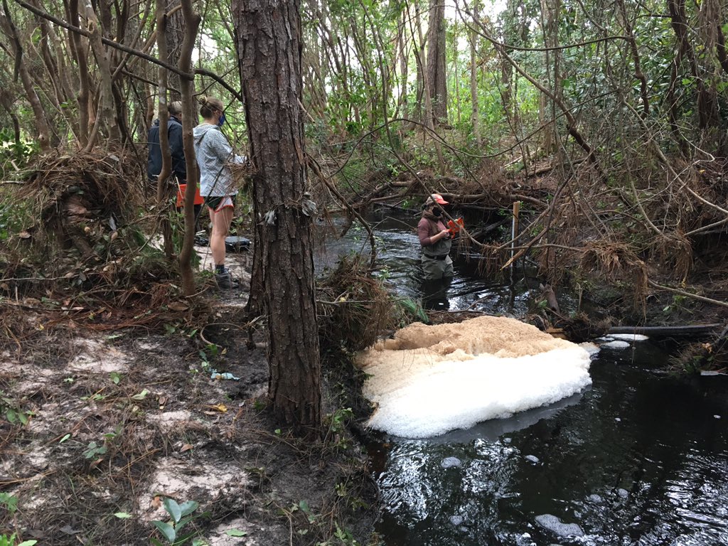 Matthew Deitch tweet media