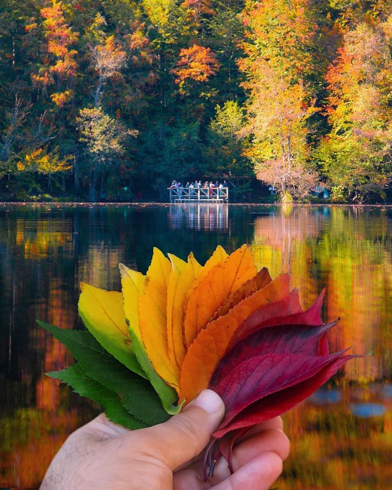 Worldation_com tweet picture