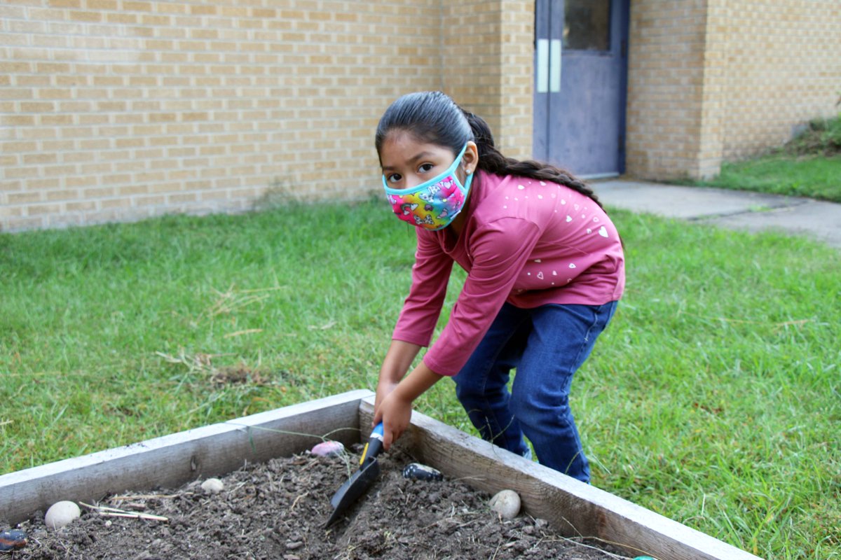 Independence School District (@isdschools) on Twitter photo <a href="/3TrailsTigers/">Three Trails Elem.</a> are taking turns tending to their school garden! Students planted fall vegetables, including lettuce, kale, carrots, radishes and spinach. These young gardeners get to watch the vegetables grow before harvesting them later in the semester. #isdstrong <a href="/3TrailsTigers/">Three Trails Elem.</a> are taking turns tending to their school garden! Students planted fall vegetables, including lettuce, kale, carrots, radishes and spinach. These young gardeners get to watch the vegetables grow before harvesting them later in the semester. #isdstrong