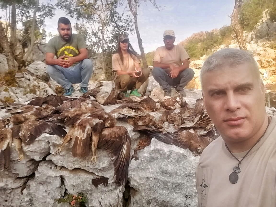 CABS_REPORTS's tweet photo. Just a day into our joint bird protection camp in #Lebanon with @toyourna @SaydMagazine the #BirdGuard team discovered the remains of 16 dead #HoneyBuzzards a #LesserSpottedEagle & #MarshHarrier in Eghbe - an area where raptor massacres have routinely been documented since 2017.. https://t.co/CuMeLjep1d