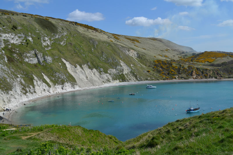 Camping Magazine tweet media